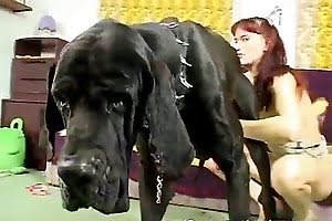 dick,doggy porn