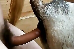 Animal Porn